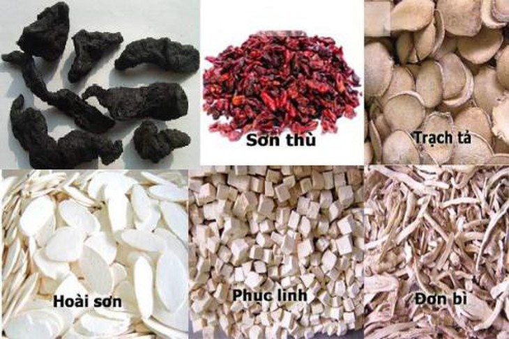 Bài cố thận giảm tiểu đêm - ảnh tham khảo