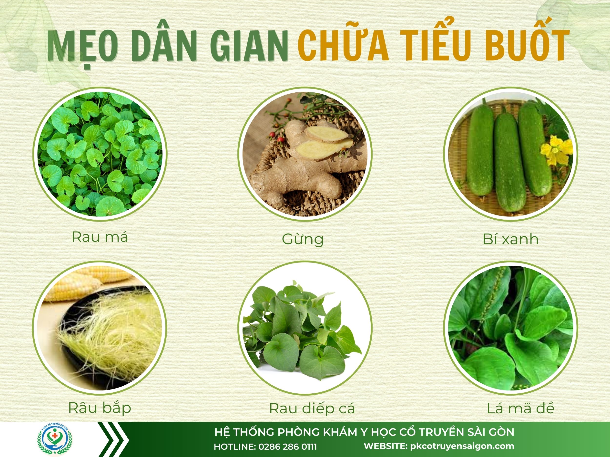 Bài thanh lợi hạ tiêu tiểu buốt - ảnh tham khảo